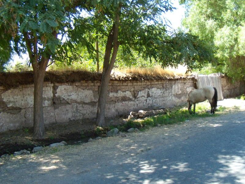 Foto de Chincolco, Chile