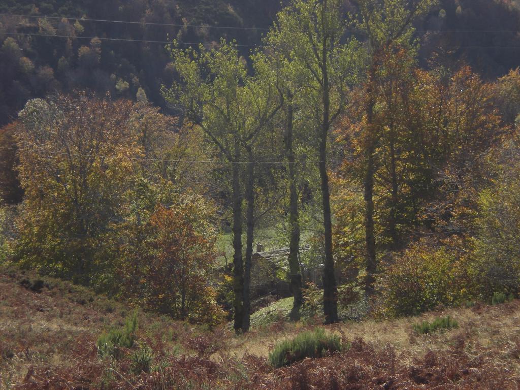 Foto de Las Machorras (Burgos), España