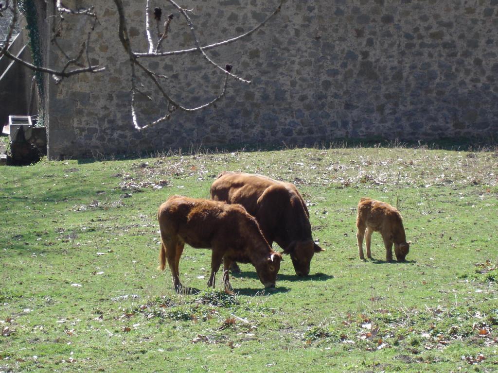 Foto de Vidrà (Girona), España
