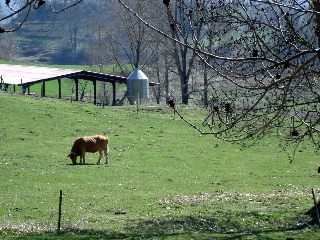 Foto de Vidrà (Girona), España