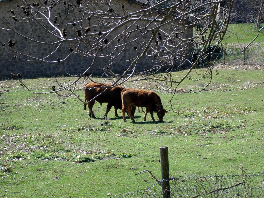 Foto de Vidrà (Girona), España