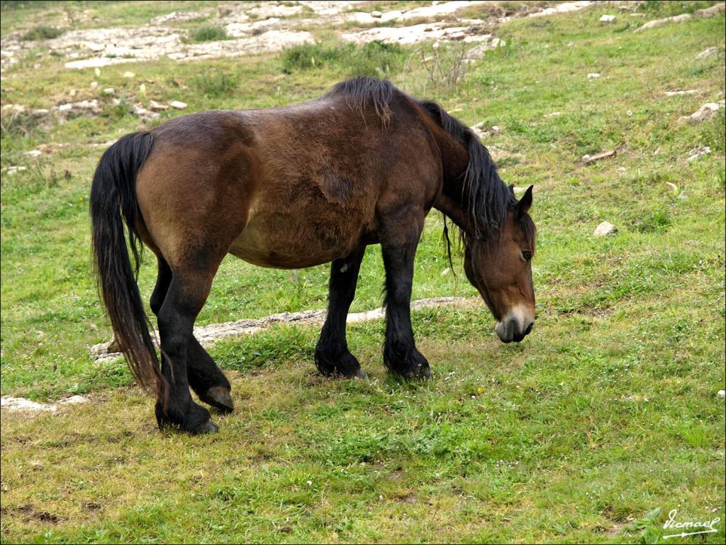 Foto de Santillana del Mar (Cantabria), España