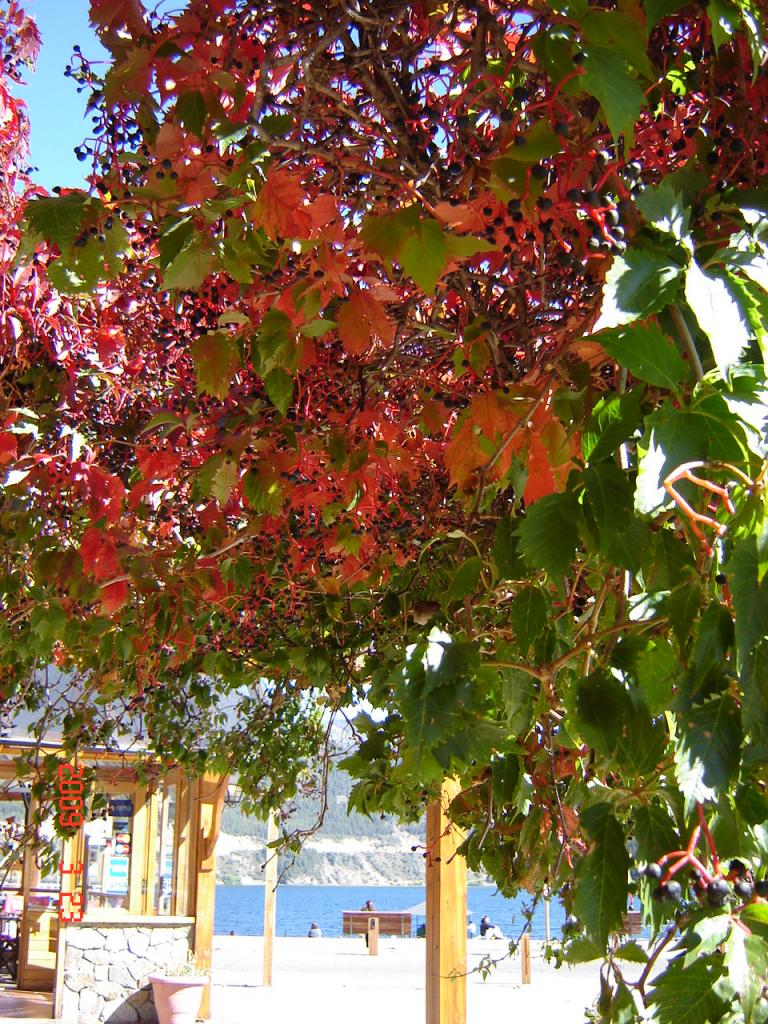 Foto de San Martín de los Andes, Argentina
