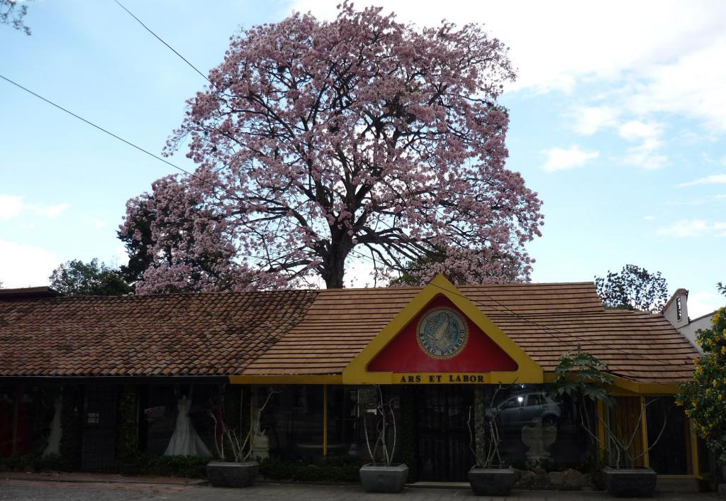 Foto de San Rafael (Escazu), Costa Rica