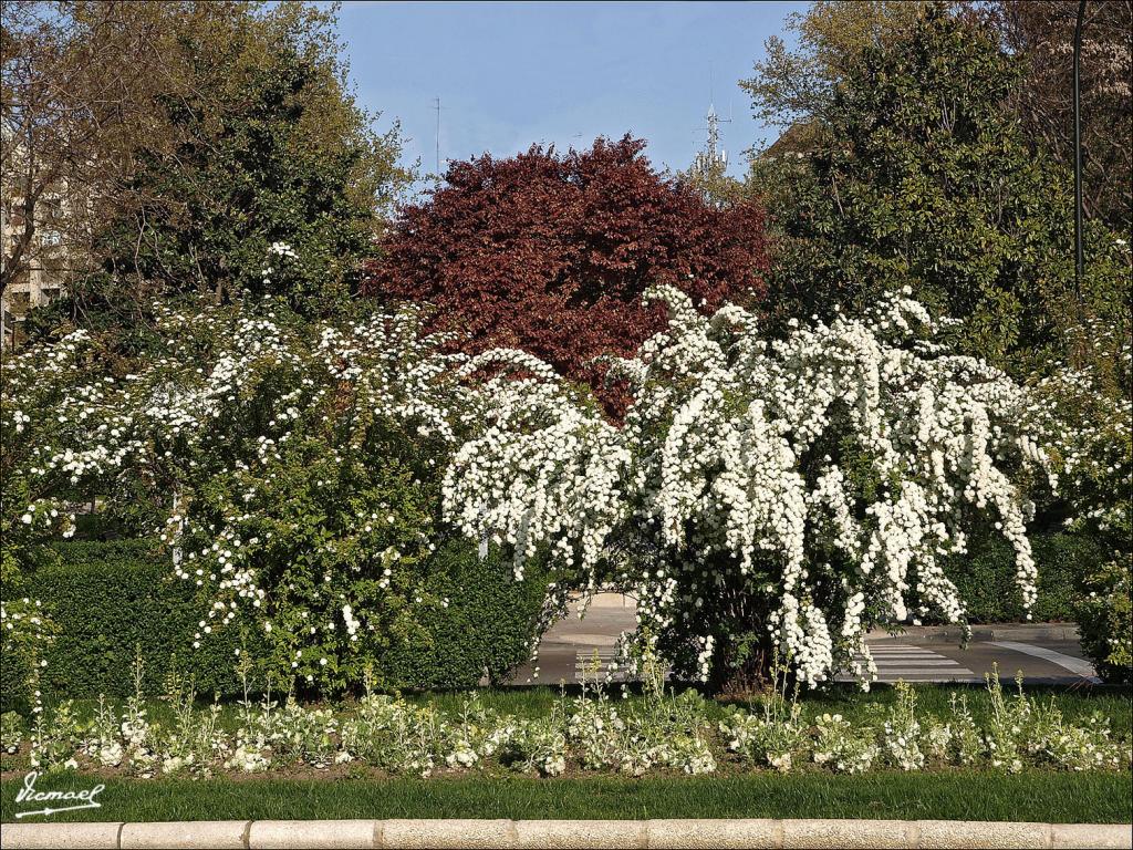 Foto de Zaragoza (Aragón), España
