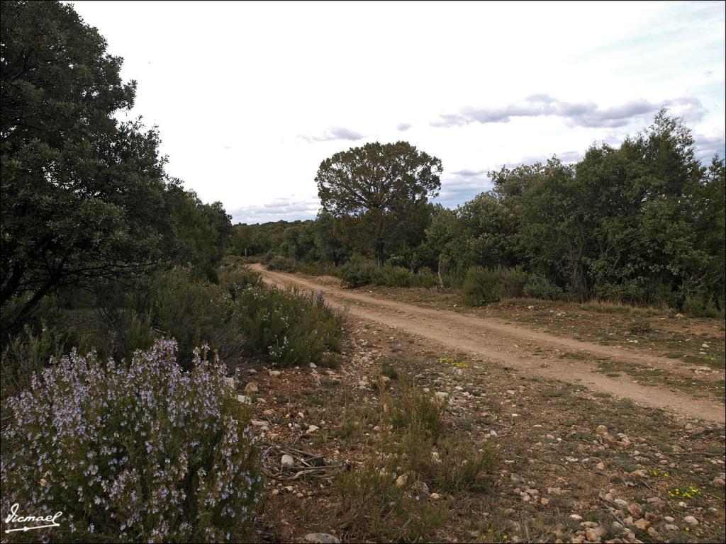 Foto de Alconchel de Ariza (Zaragoza), España