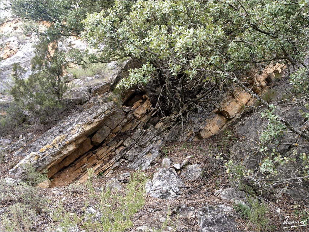 Foto de Alconchel de Ariza (Zaragoza), España