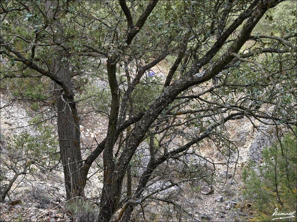 Foto de Alconchel de Ariza (Zaragoza), España