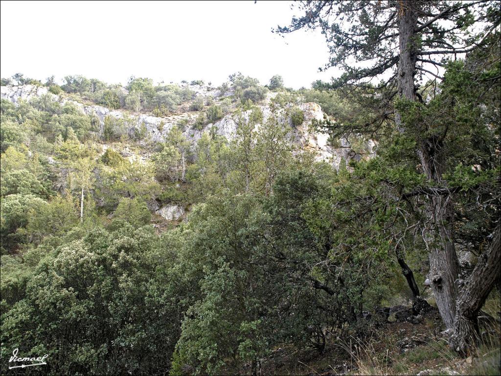 Foto de Alconchel de Ariza (Zaragoza), España