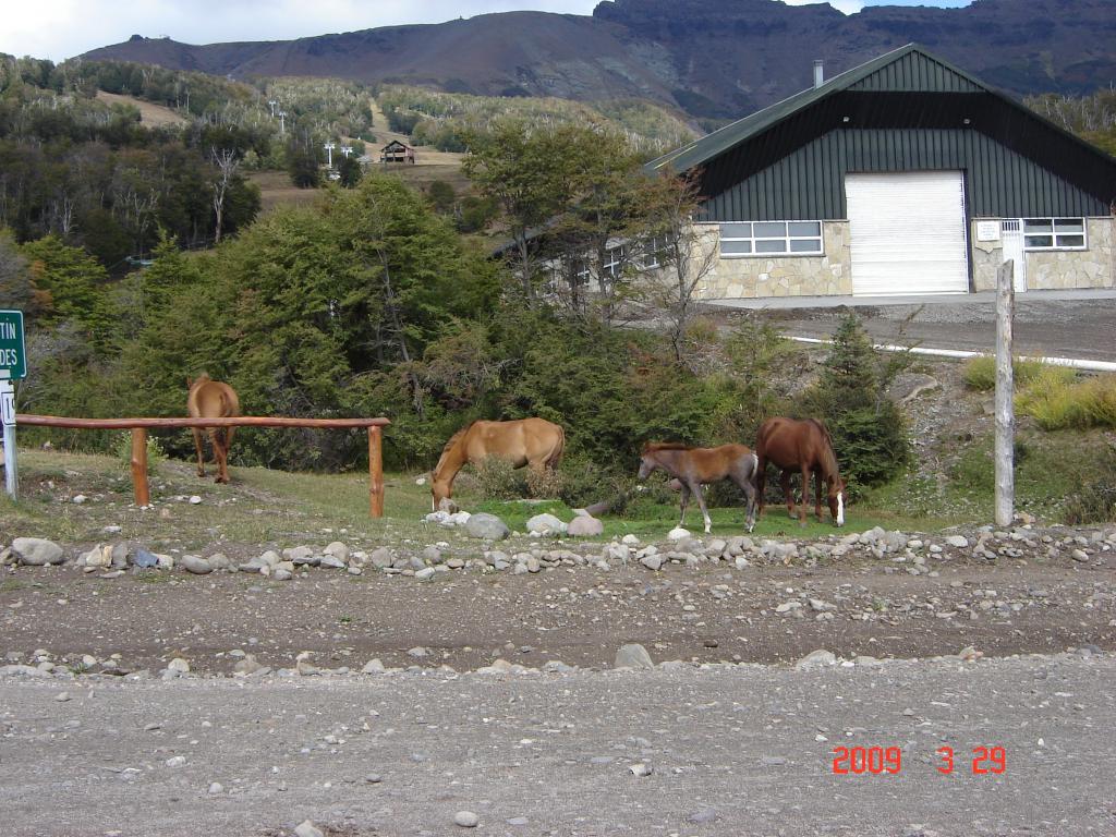 Foto de San Martín de los Andes (Neuquén), Argentina