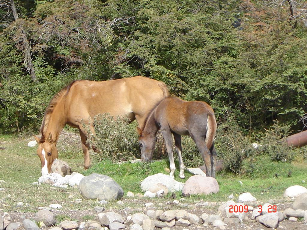 Foto de San Martín de los Andes (Neuquén), Argentina