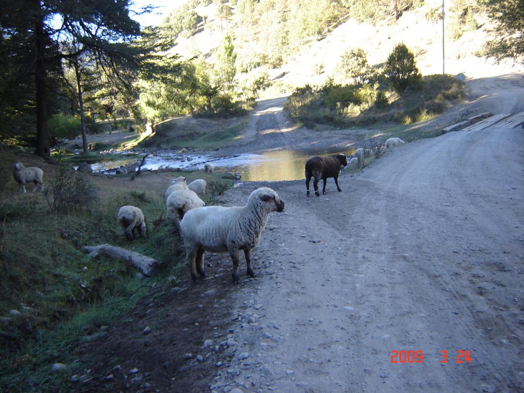 Foto de San Martín de los Andes (Neuquén), Argentina