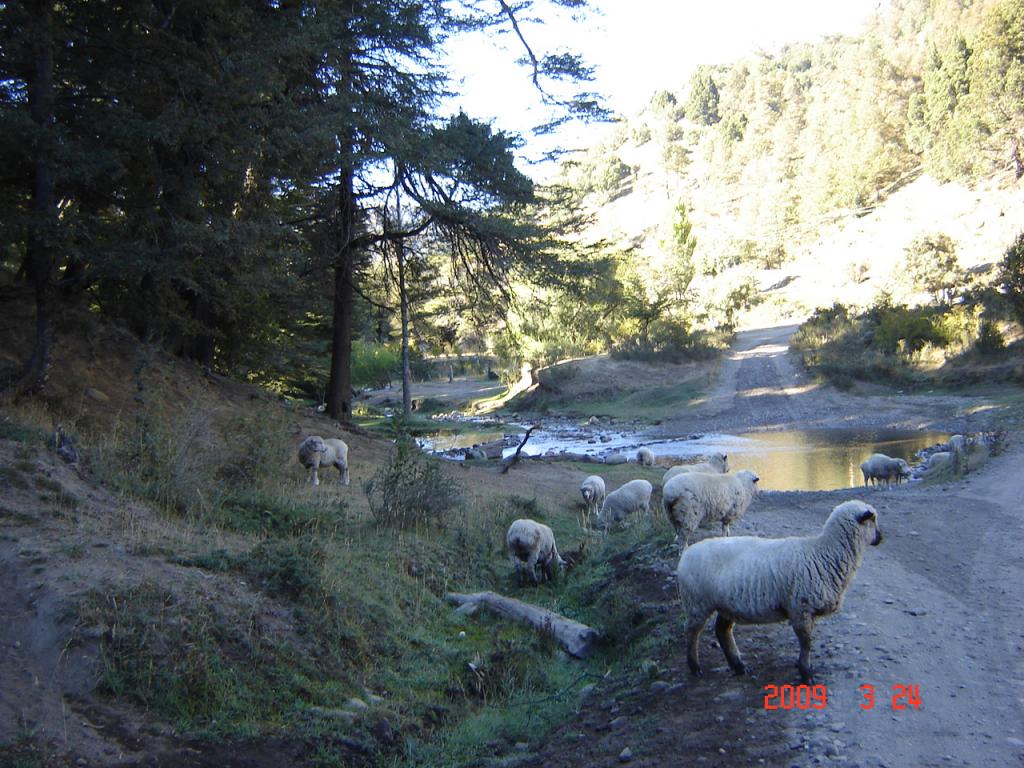 Foto de San Martín de los Andes (Neuquén), Argentina