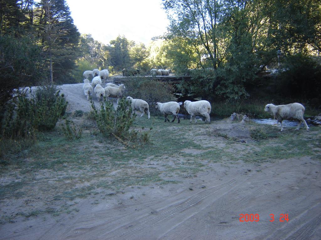 Foto de San Martín de los Andes (Neuquén), Argentina