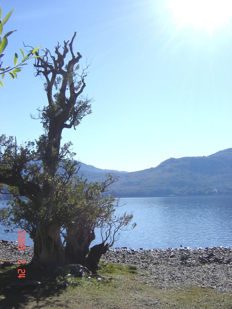 Foto de San Martín de los Andes (Neuquén), Argentina