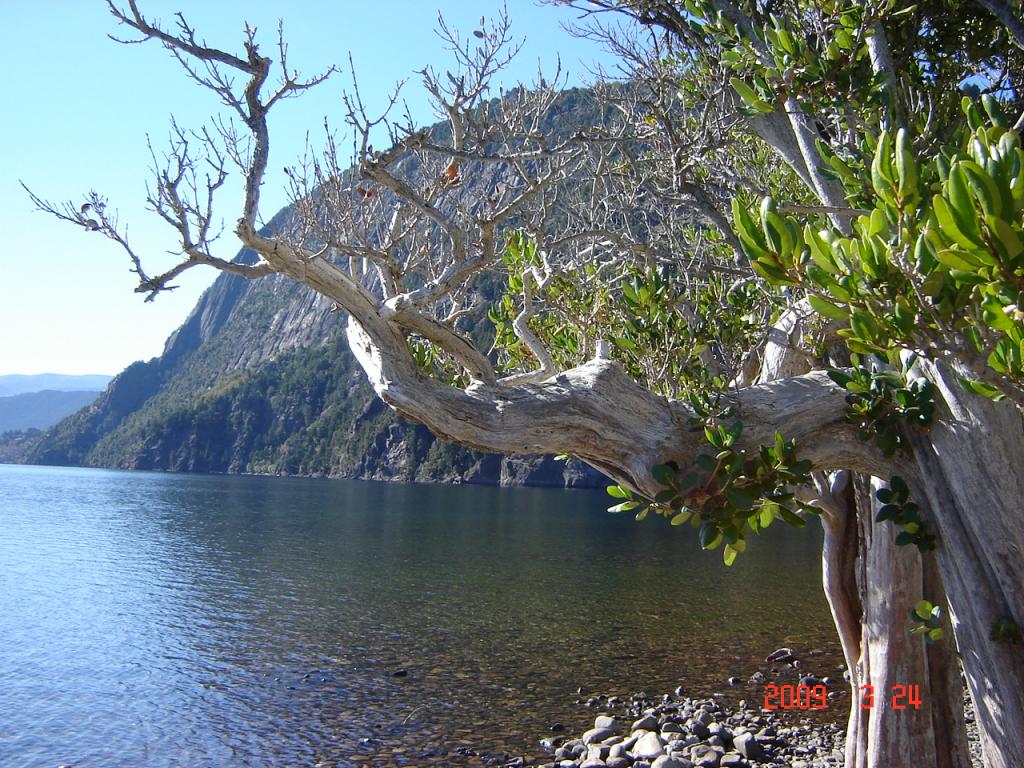 Foto de San Martín de los Andes (Neuquén), Argentina