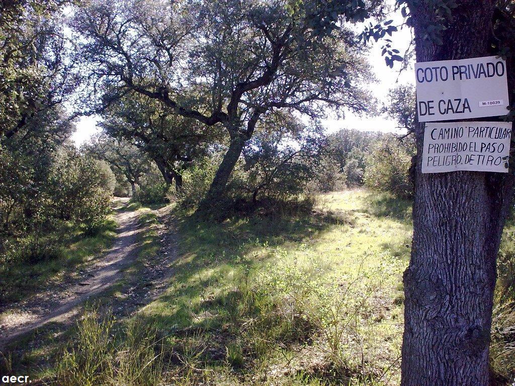 Foto de Villanueva de la Cañada (Madrid), España