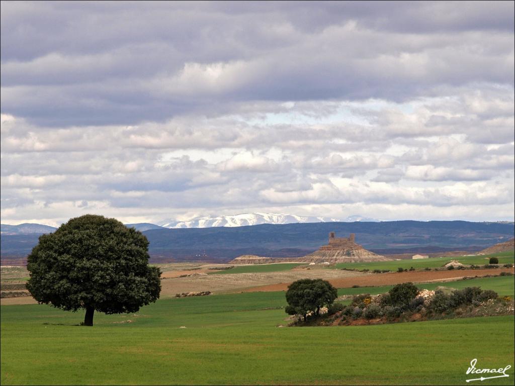 Foto de Aguilar (Soria), España
