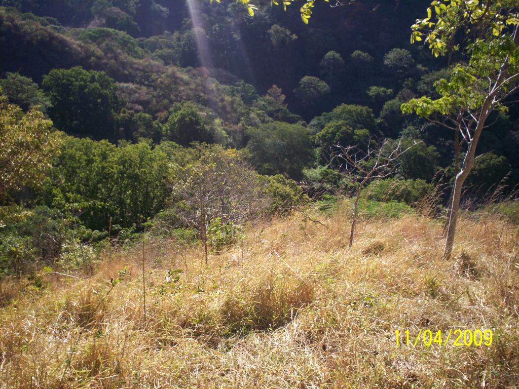 Foto de San Ignacio de Acosta, Costa Rica