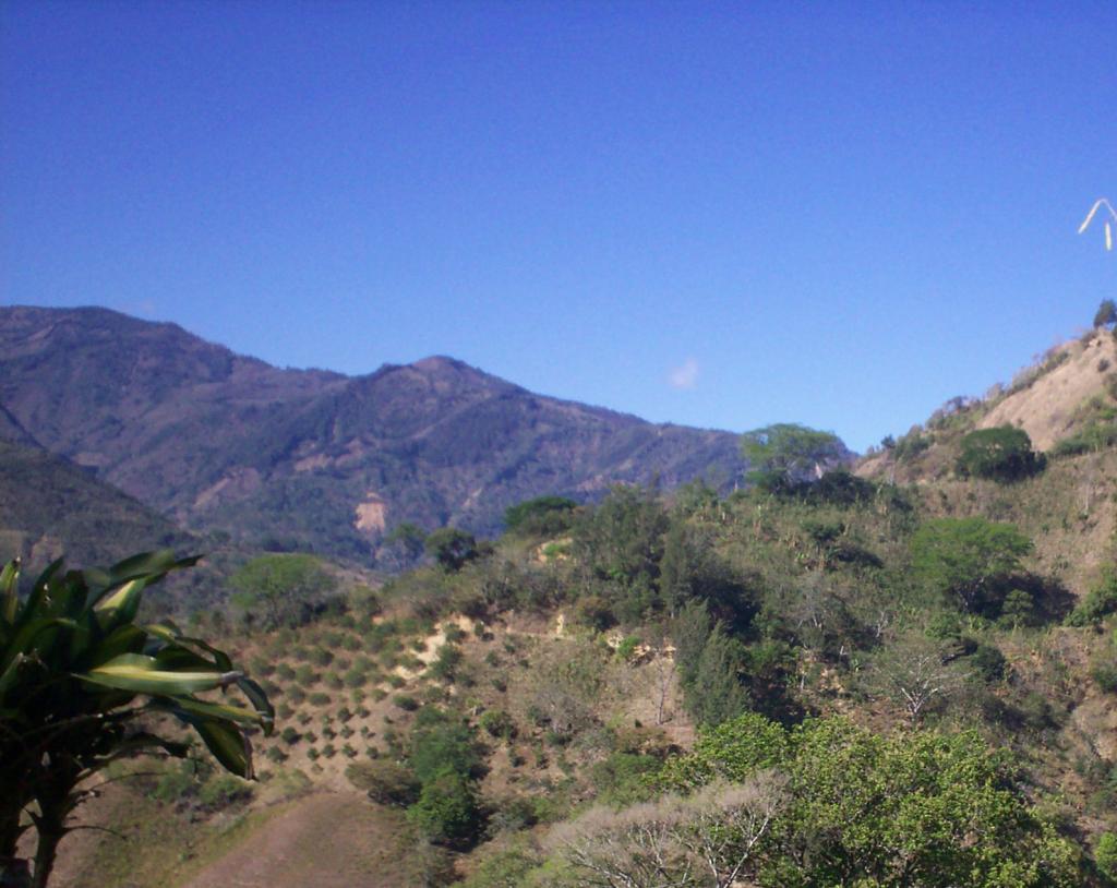 Foto de San Ignacio de Acosta, Costa Rica