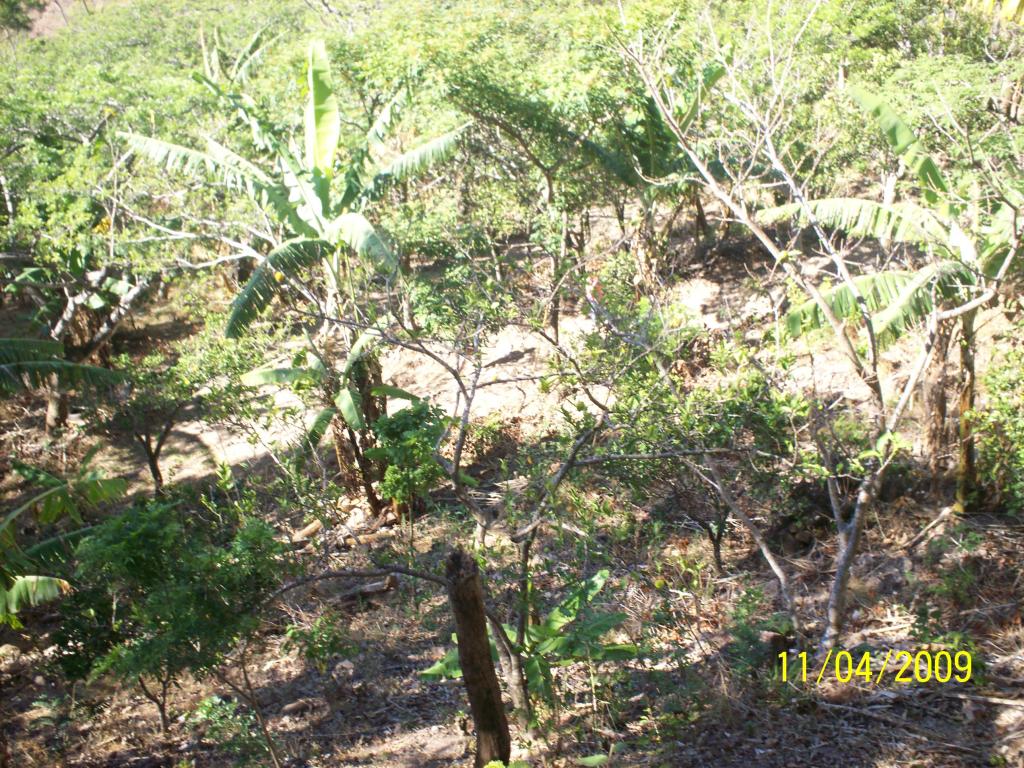 Foto de San Ignacio de Acosta, Costa Rica