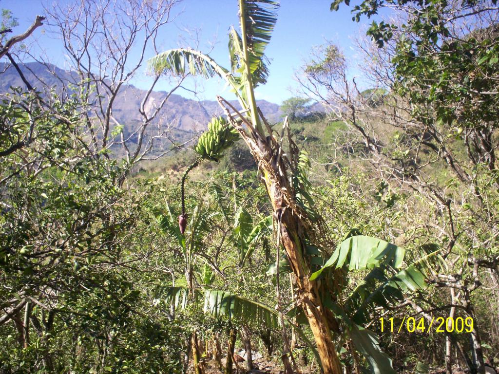 Foto de San Ignacio de Acosta, Costa Rica