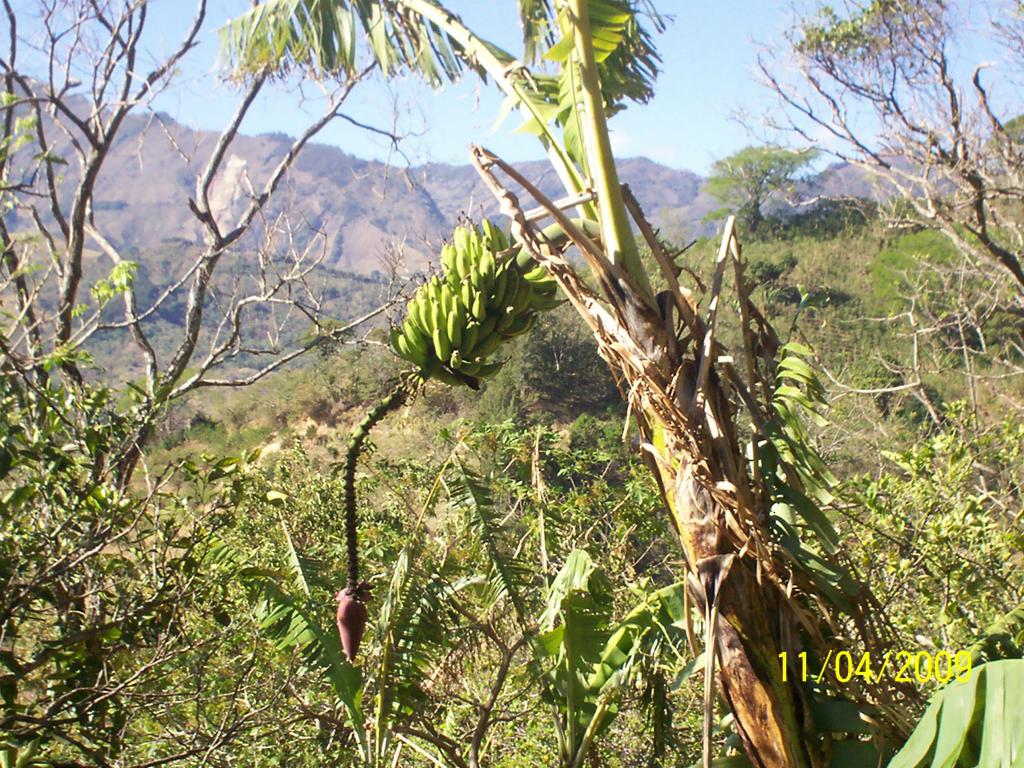 Foto de San Ignacio de Acosta, Costa Rica