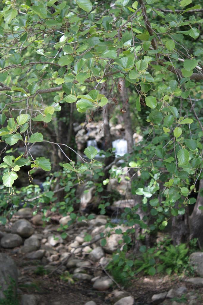 Foto de Losar de la Vera (Cáceres), España