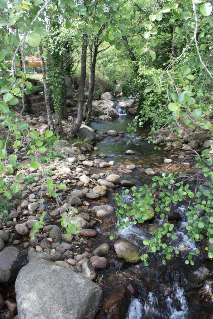 Foto de Losar de la Vera (Cáceres), España