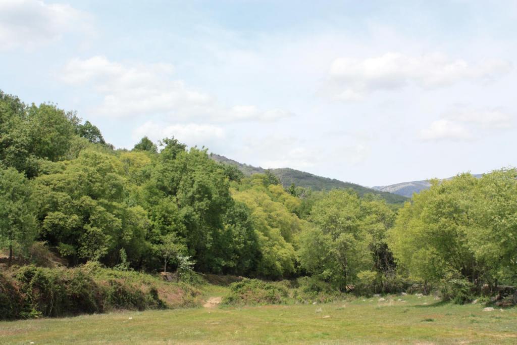 Foto de Losar de la Vera (Cáceres), España
