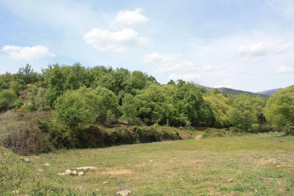 Foto de Losar de la Vera (Cáceres), España