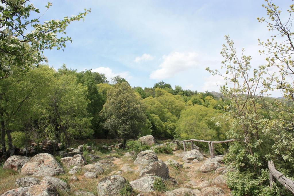 Foto de Losar de la Vera (Cáceres), España