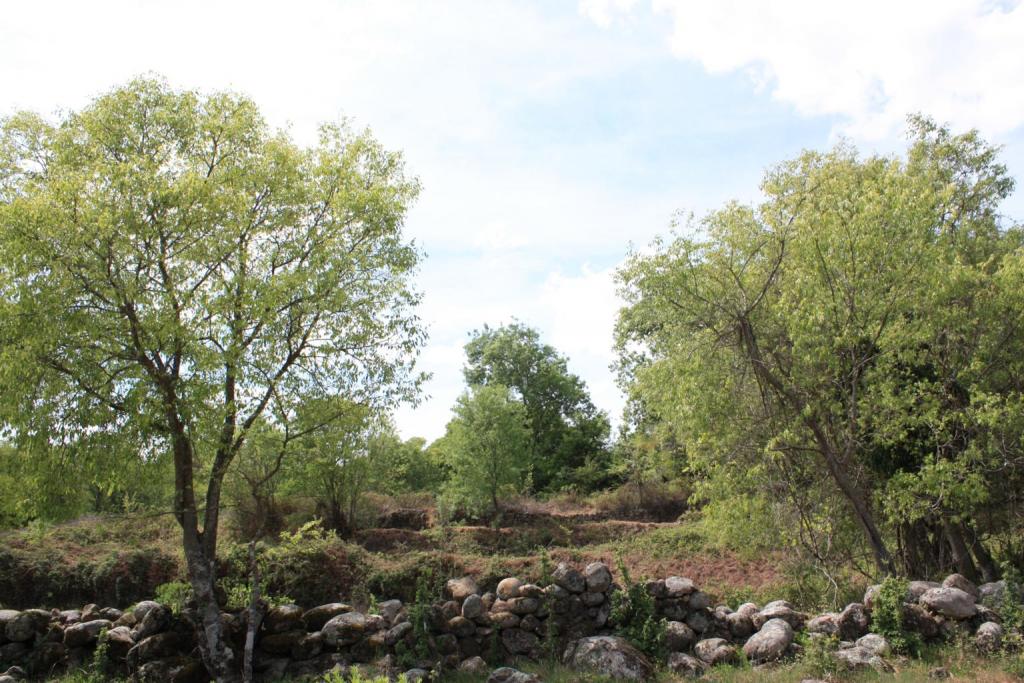 Foto de Losar de la Vera (Cáceres), España
