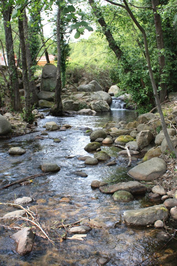 Foto de Losar de la Vera (Cáceres), España