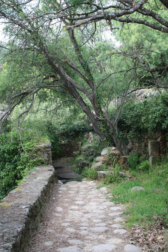 Foto de Losar de la Vera (Cáceres), España