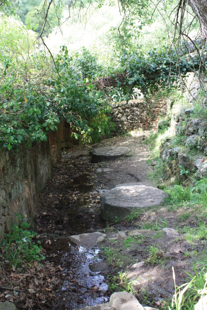 Foto de Losar de la Vera (Cáceres), España