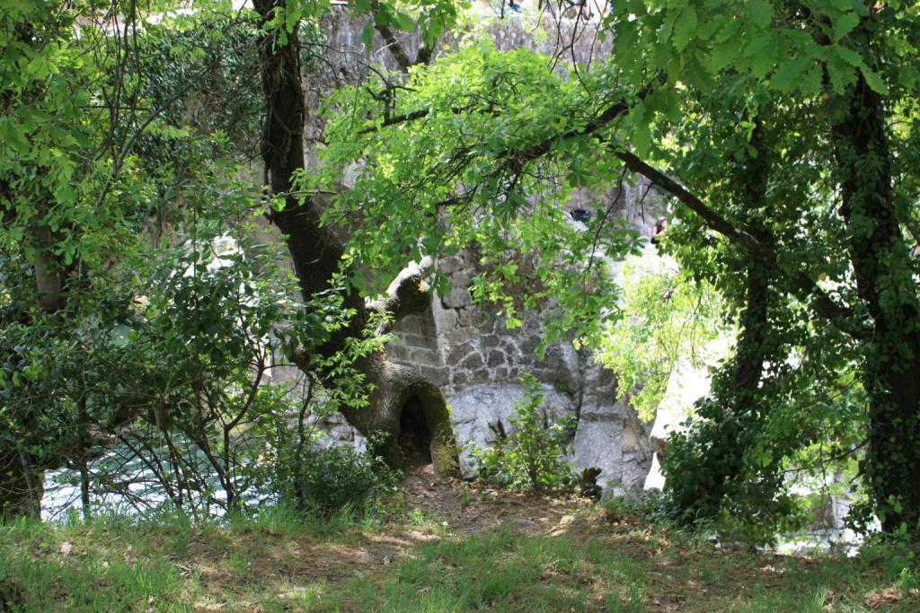 Foto de Losar de la Vera (Cáceres), España
