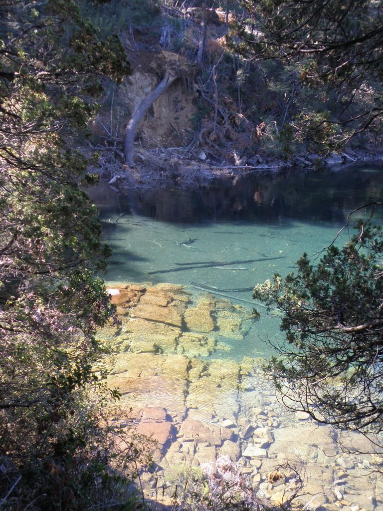 Foto de San Martín de los Andes (Neuquén), Argentina