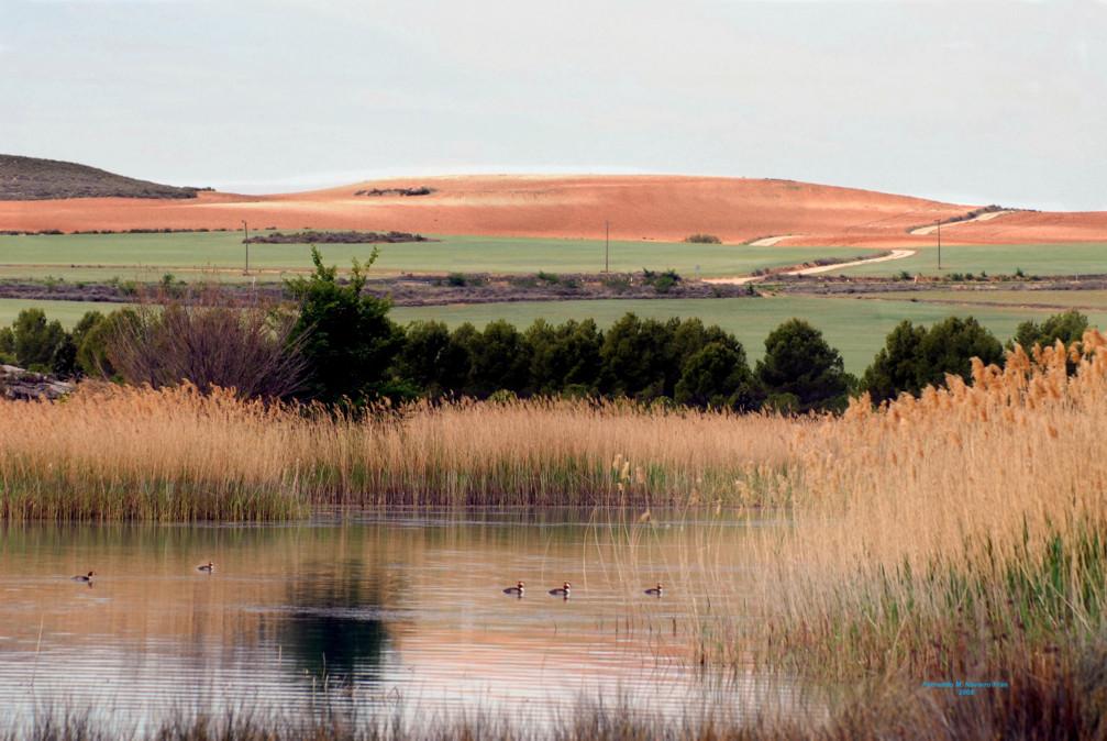 Foto de Alcañiz (Teruel), España