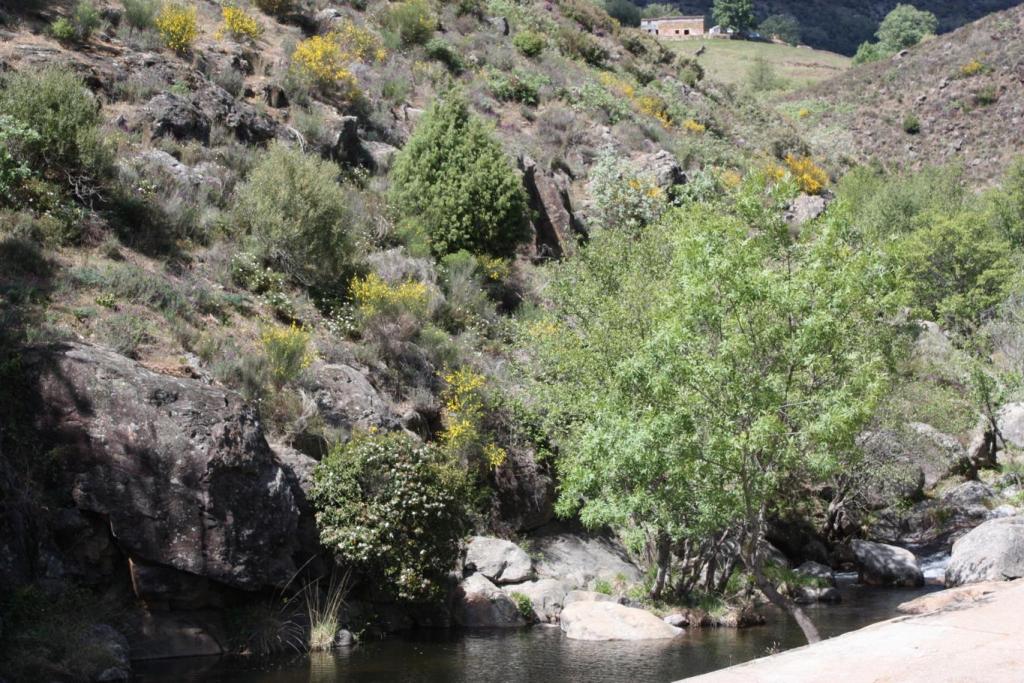 Foto de Losar de la Vera (Cáceres), España