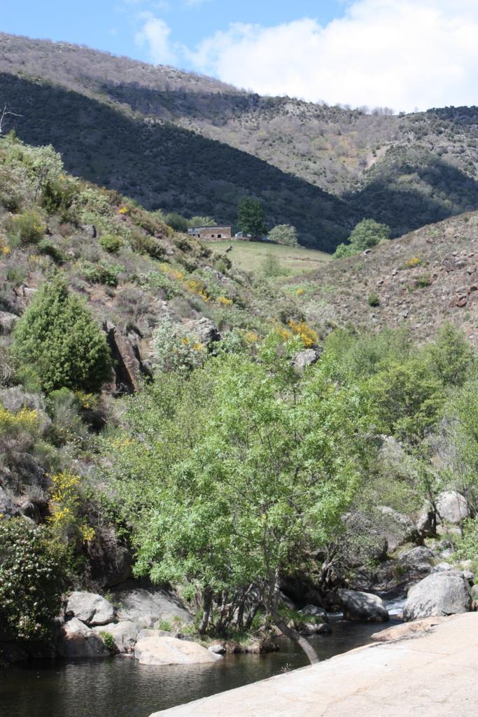 Foto de Losar de la Vera (Cáceres), España