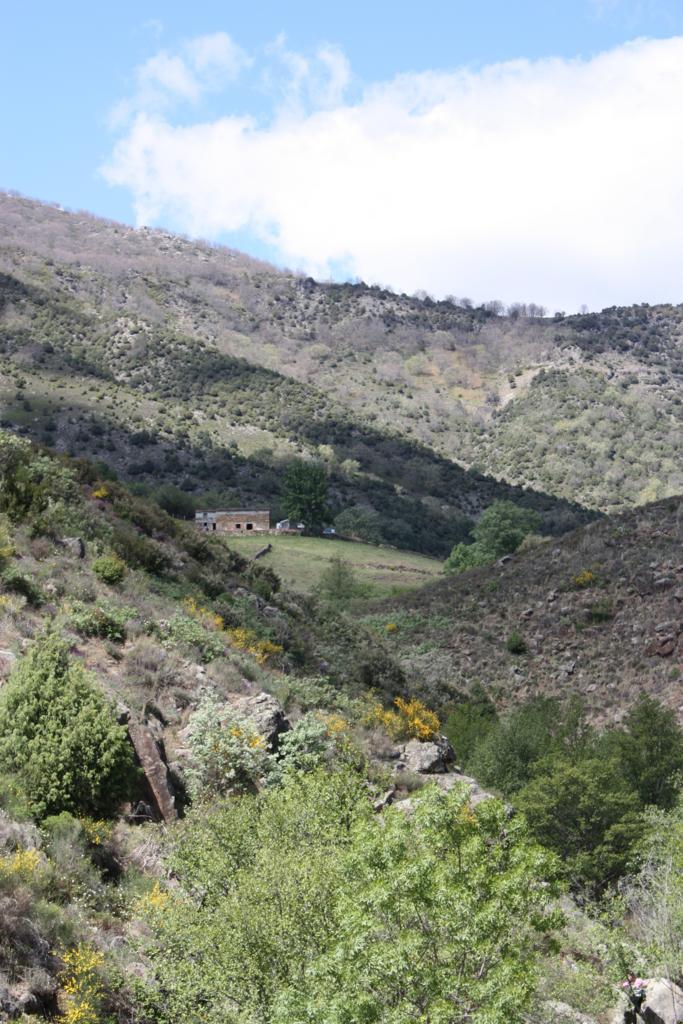 Foto de Losar de la Vera (Cáceres), España