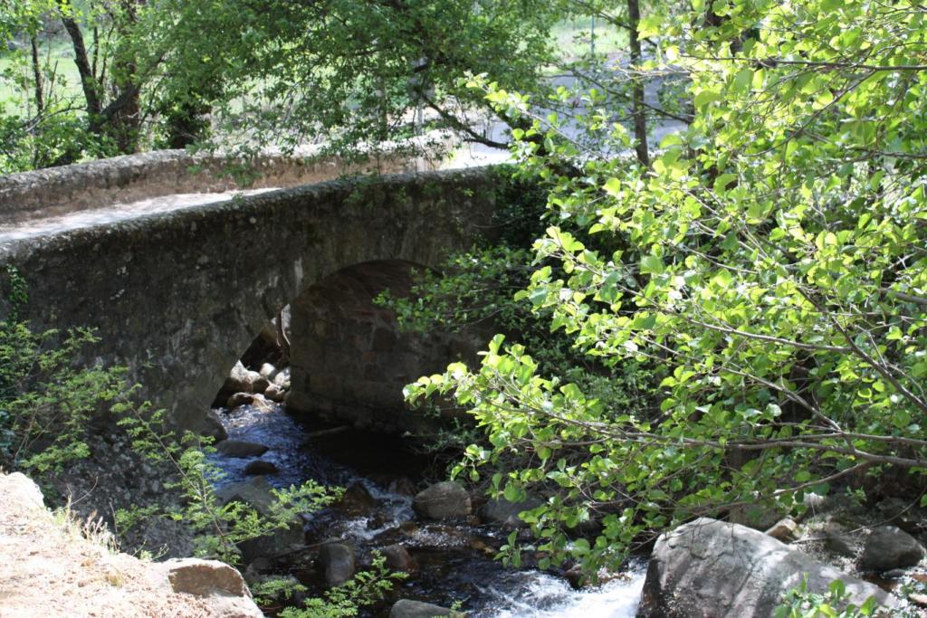 Foto de Losar de la Vera (Cáceres), España