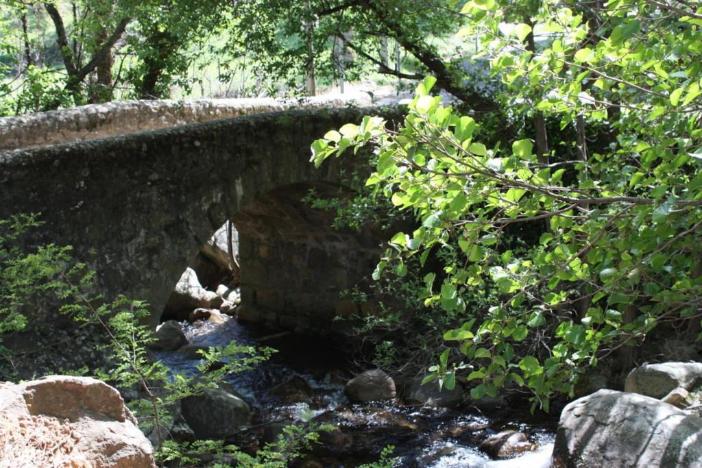 Foto de Losar de la Vera (Cáceres), España