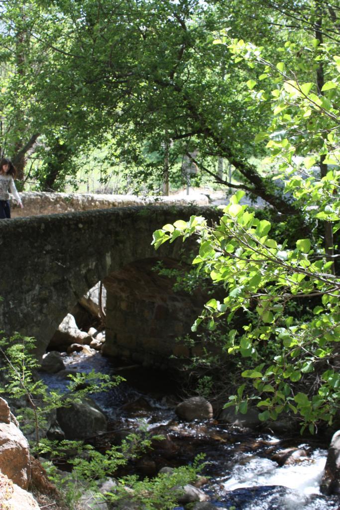 Foto de Losar de la Vera (Cáceres), España