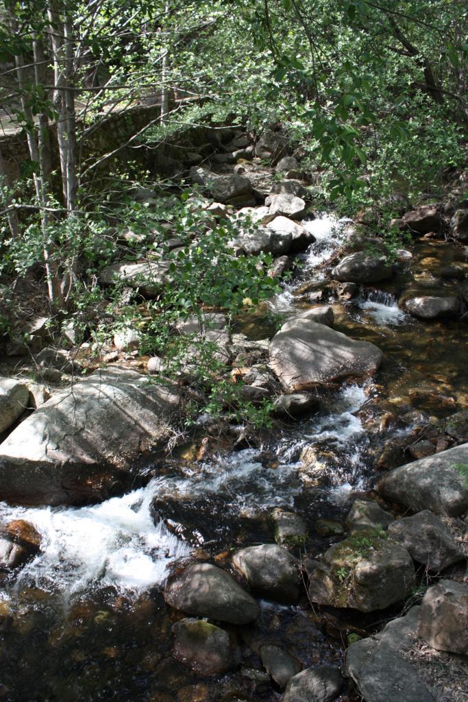 Foto de Losar de la Vera (Cáceres), España