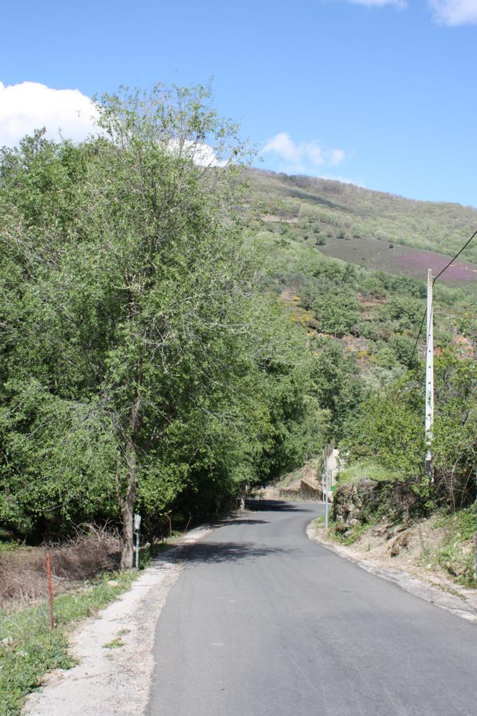 Foto de Losar de la Vera (Cáceres), España