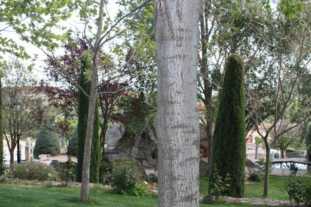 Foto de Losar de la Vera (Cáceres), España