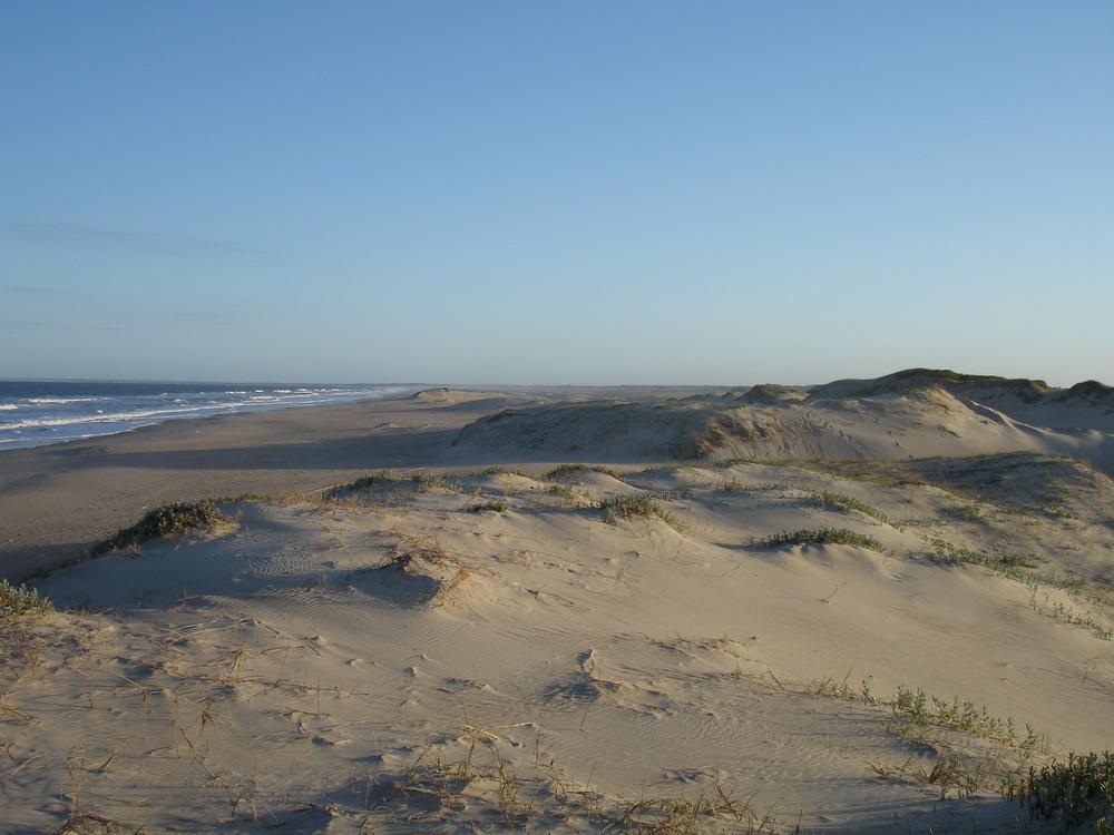 Foto de Vuelta del Palmar (Rocha), Uruguay