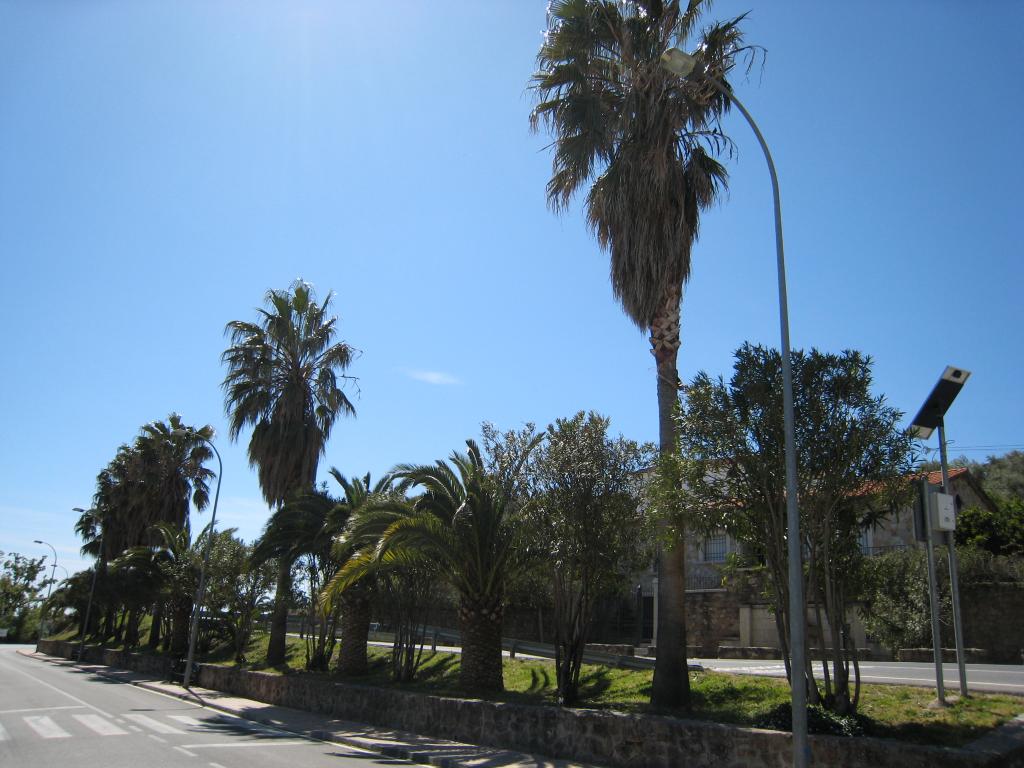 Foto de Losar de la Vera (Cáceres), España
